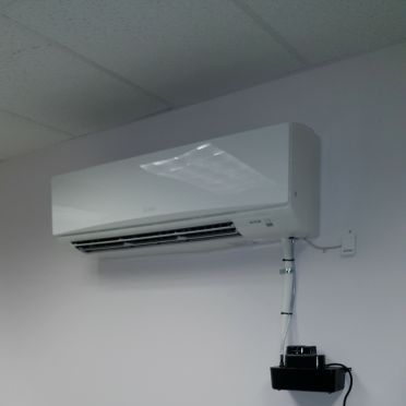 xr:d:DAF6xzNZcCo:4,j:3504216983852564027,t:24012407